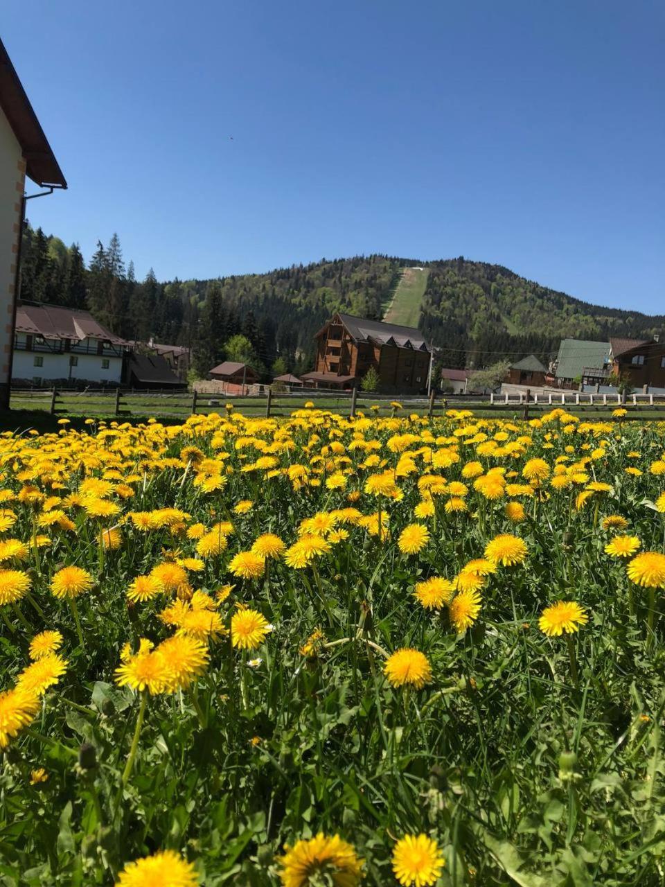 Sadyba U Halyny Sunrise Bukovel Exterior photo